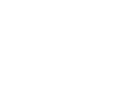 Tig n' Seek logo