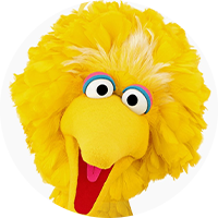 Big Bird Headshot