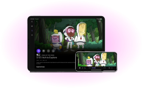 Streaming Devices - Downloaded Mobile