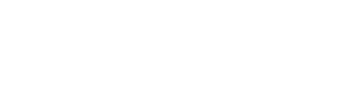 The Survivor TT