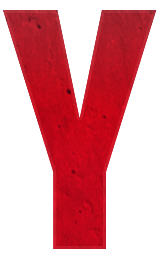 Y