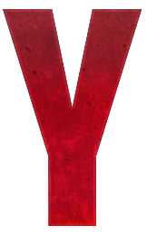 Y