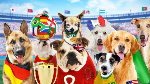 Pups United (HBO)